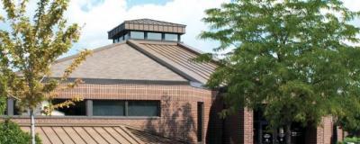 Bloomingdale Public Library